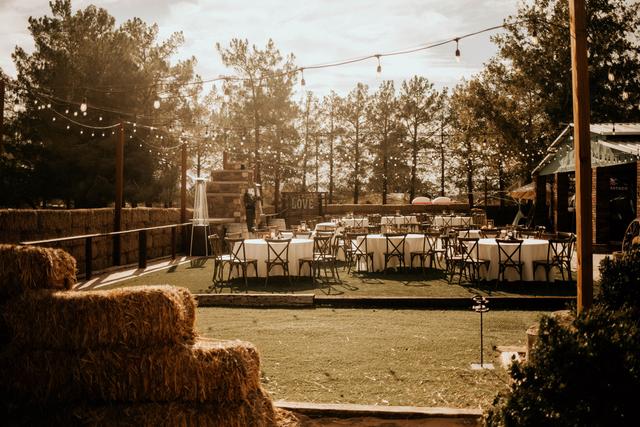VCM Weddings - 4