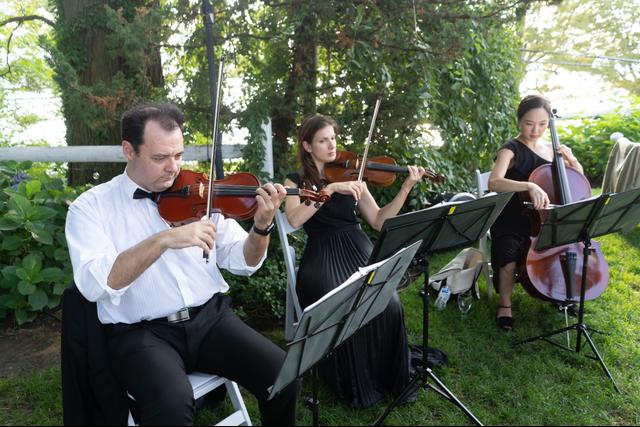 ViVa Strings Entertainment - 4