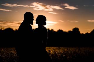 The Knot Plot - 8