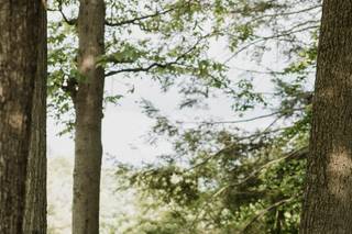 SaraYoung Weddings & Events - 8