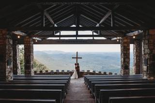 Flightless Bird Photography - 31