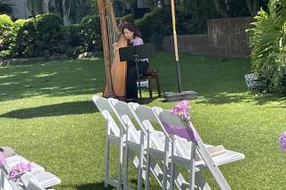 Valerie Saint Martin, Harpist & Opera Singer - 15
