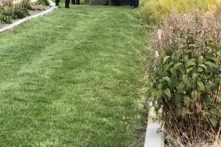 Stone Meadow Gardens - 6