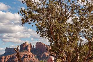 Weddings In Sedona, Inc. - 19