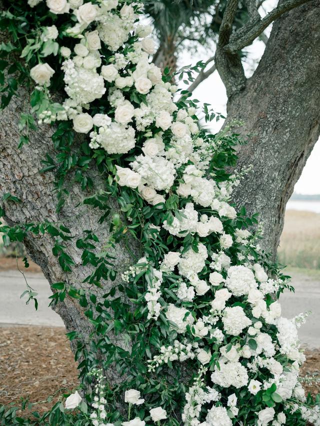 Flora Designs - 2