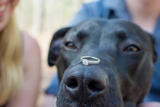 Victoria Grace Photography - 37