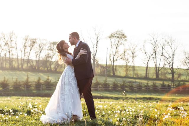 Amanda Leiphart Photography - 3
