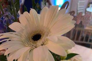 Rose Hill Garden - 6