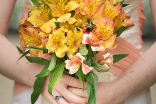 Danisa Flowers - 11