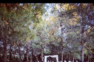Weddings at Schnepf Farms - 116