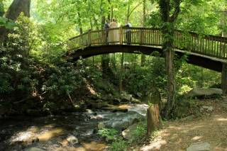 Elope to Gatlinburg - 32