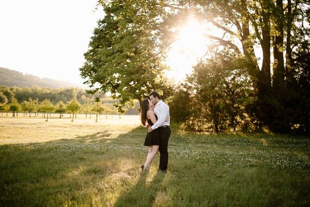 Taylor Howard Photography 4