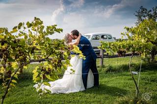 Held In The Moment Photography, LLC - 40