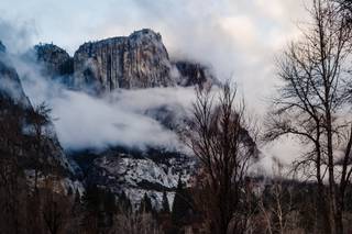 Nic Hilton Photography - 23