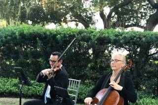 Sunset Strings - 23