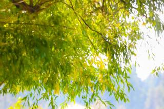 Mountain Life Photography - 16