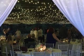 The Wedding Agent - 8