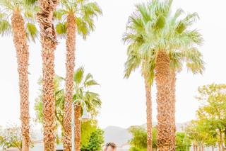 Ella Merrill Photography - 38