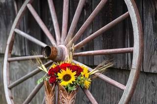 Bliss Farm - 9