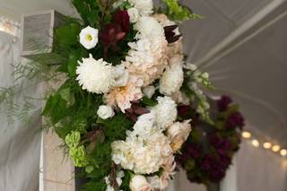 Euphorbia Floral - 10