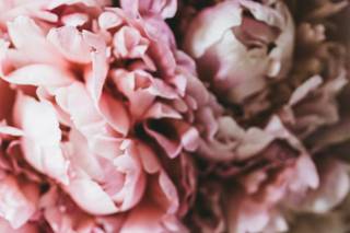 Martine Beher photography - 6