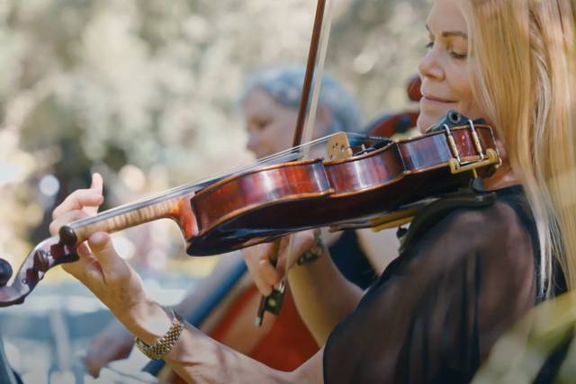 Musical Heart Strings 2