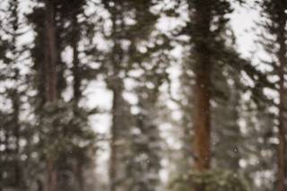 Preston Utley Photography - 12