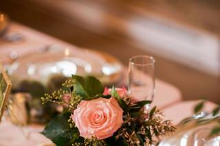 Darling D's Events - 10