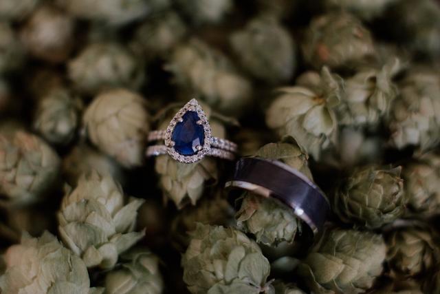 Haley Elizabeth Photography - 3