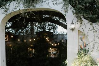 Alysha Miller Photography - 8