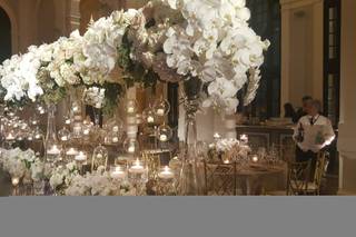 Blue Vanda Designs - 32