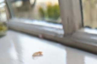 With These Rings - 13