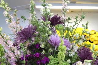 800ROSEBIG Wholesale Wedding Florist - 51