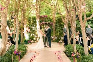 Samantha Turchin Photographs - 32