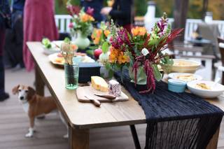Bloom Culture Flowers - 31