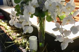 Frampton's Flowers - 26