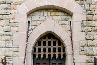 Sarah Schweyer Photography - 5