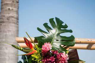 Flower You Beautiful - 160
