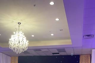 DJ Ameet Productions and Event Lighting - 6