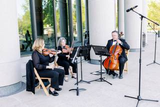 Silver Strings - 15