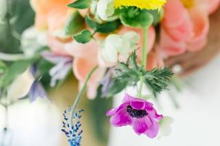 Events by Lindsay J - 15