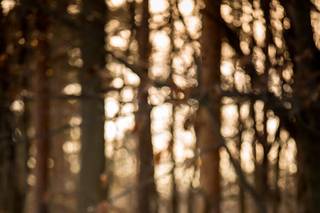 Jacqueline Connor Photography - 17