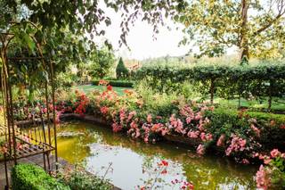 Genesis Farm and Gardens - 13
