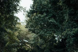 Jaclyn Watkins Photography - 5