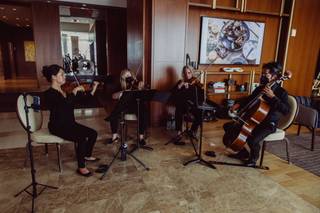 Project String Quartet - 1