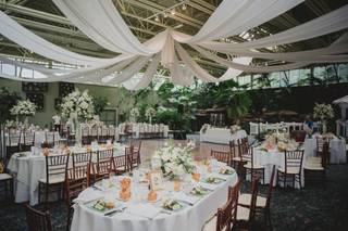 AMARYLLIS EVENT DECOR - 34