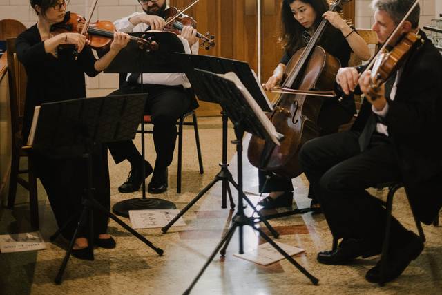Vermilion Strings 5