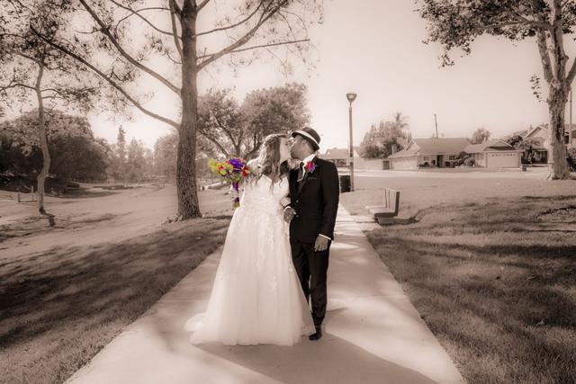 Elegant Visions Photography - 1