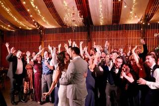 Bella Sano Entertainment - 14