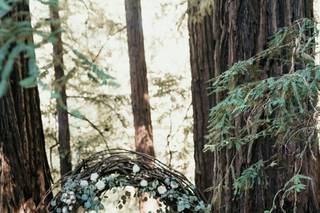 Claire Ferguson Photography - 9